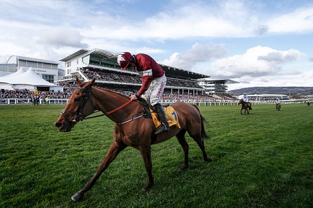 The punter vs the bookie: Bookmakers have another bad day at the office