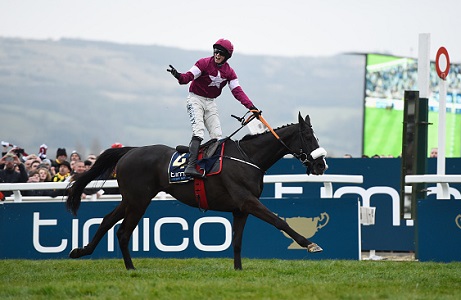 Cheltenham Festival: Returning Heroes from 2016