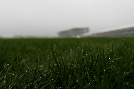 Odds slashed on soft ground at Cheltenham following Beast from the East havoc