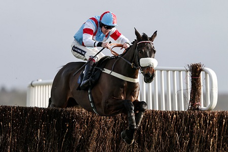 Behind the scenes at Harry Whittington's yard