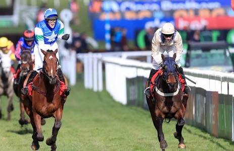 Shantou Flyer odds slashed for Grand National following Cheltenham place