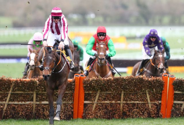 Coeur Sublime cut from 50/1 to 16/1 for 2020 Cheltenham Champion Hurdle