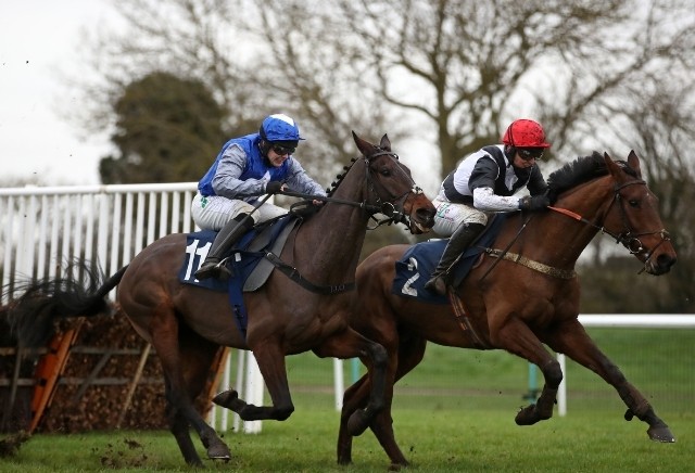 Money Horse: Thursday's Most Backed Horse