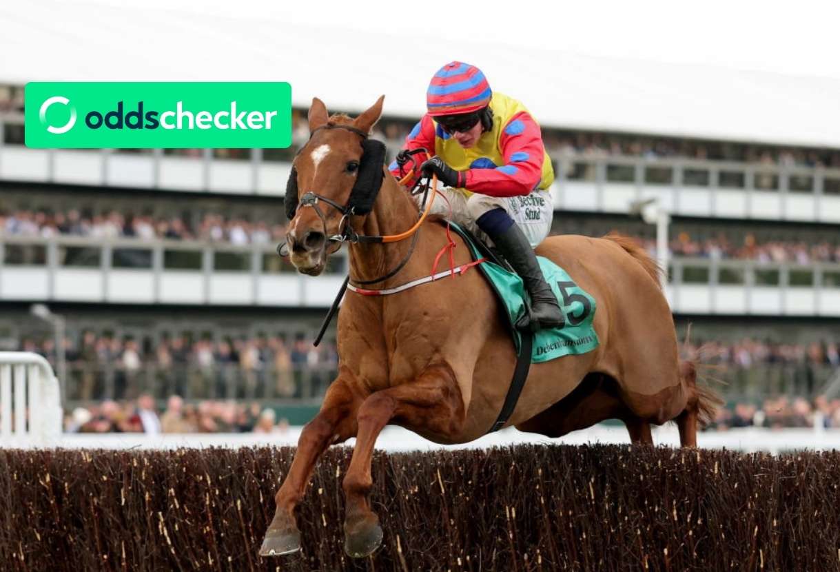 Liam Firkin's Horses from Smaller Yards for the Cheltenham Festival