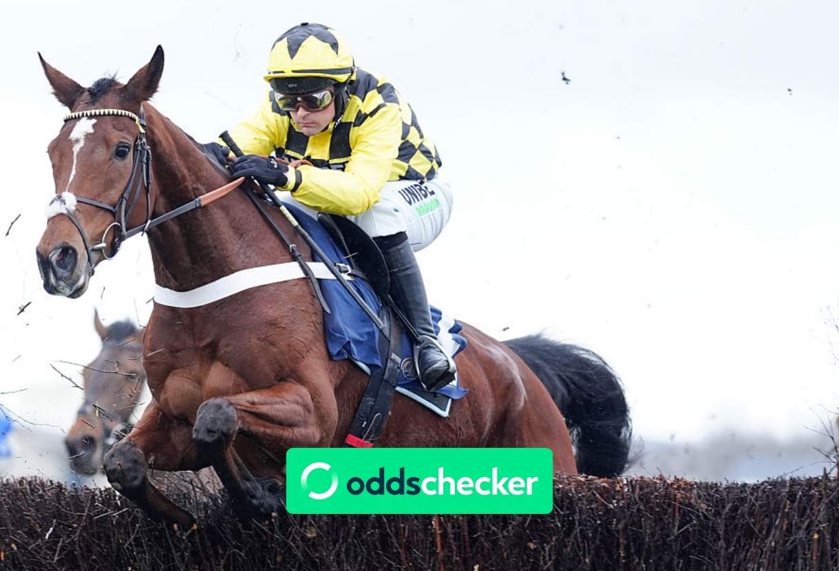 Arkle Novices' Chase 2026: Runners, Odds, Trends & Tips