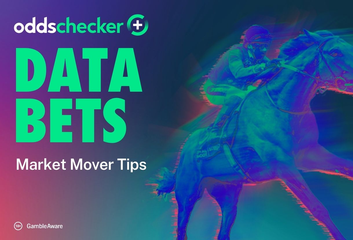 Five Biggest Single Horse Racing Bets for Wednesday's Action