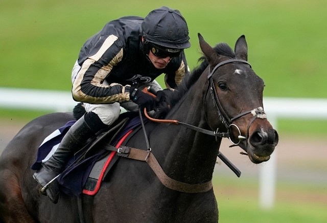 Mcfabulous cut for Stayers' Hurdle at Cheltenham following Persian War victory