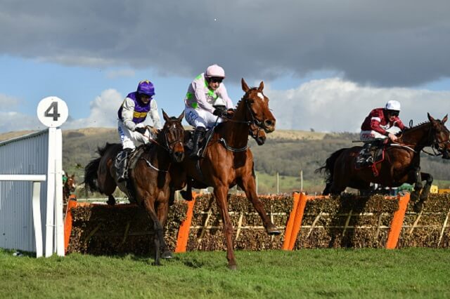 The 3 most backed horses on Wednesday at the Cheltenham Festival