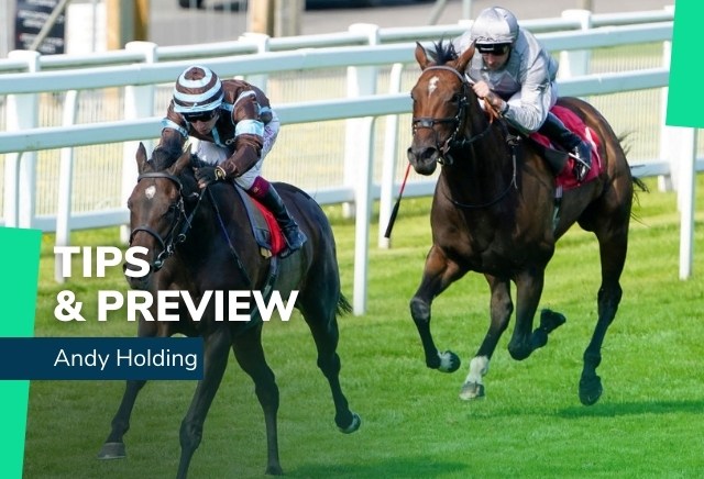 Wednesday Racing Tips from Andy Holding