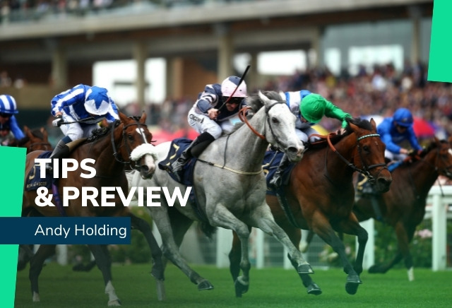 Tuesday Royal Ascot Tips from Andy Holding