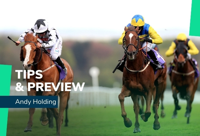 Friday Racing Tips from Andy Holding