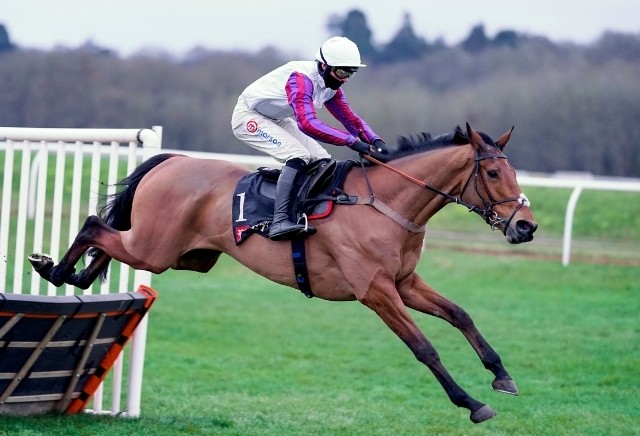 Ballymore Novices' Hurdle 2021: Tips, Runners & Prediction