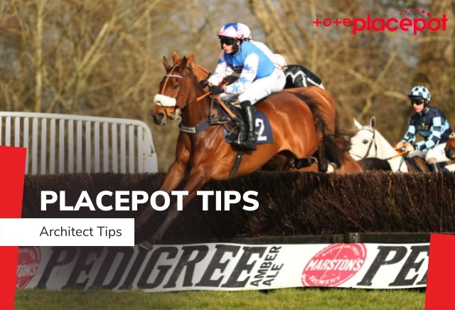 Today's Tote Placepot Tips for Exeter