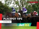 Today's Tote Placepot Tips for Plumpton