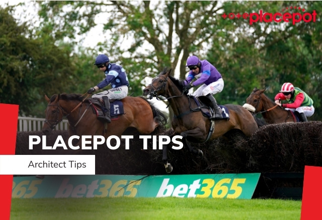 Today's Tote Placepot Tips for Ayr