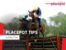 Today's Tote Placepot Tips for Newcastle