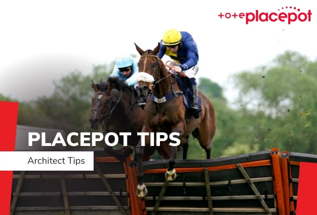Today's Tote Placepot Tips for Cheltenham