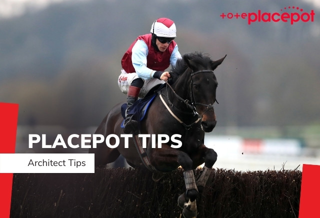 Today's Tote Placepot Tips for Exeter
