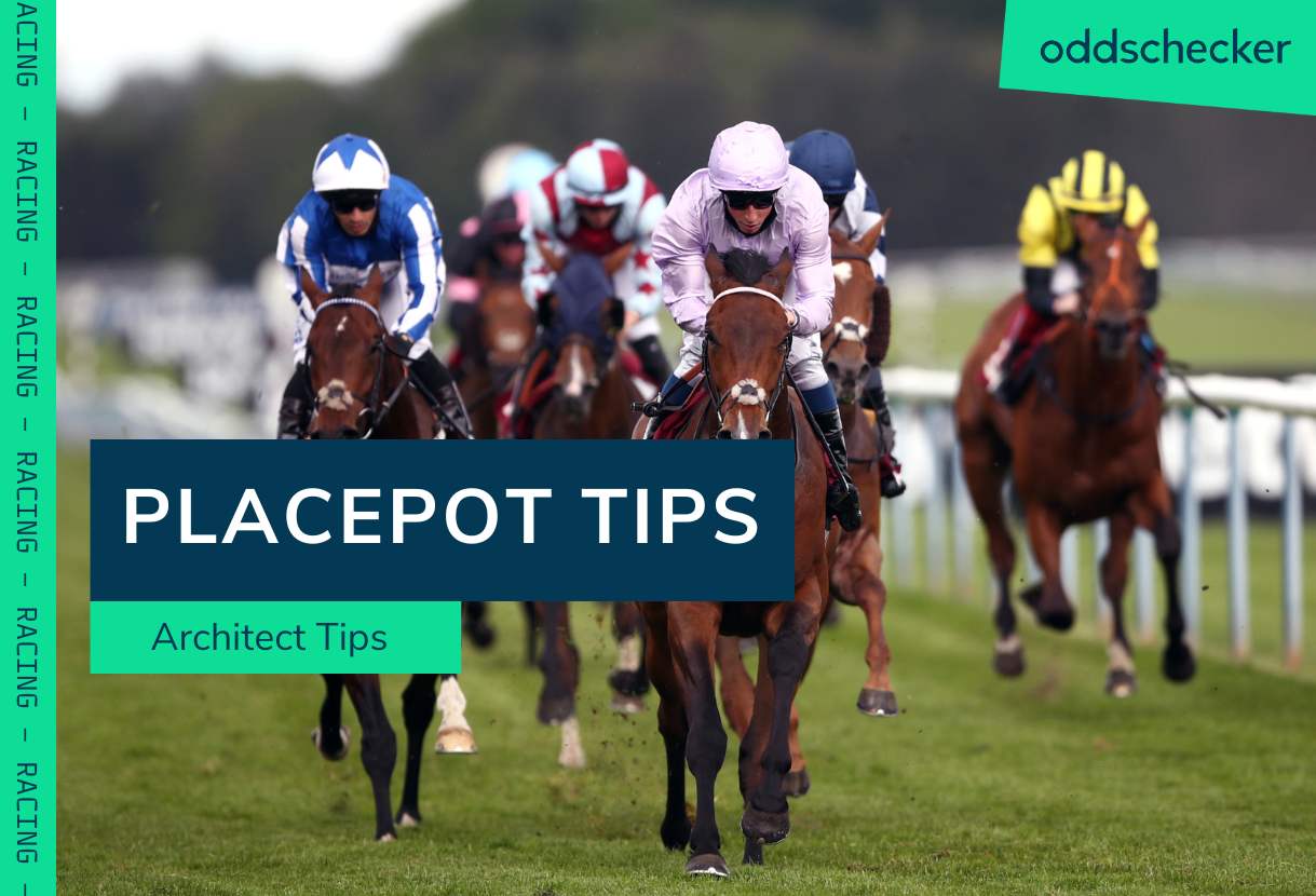 Wednesday Placepot Tips for Newbury from Architect