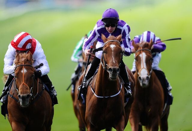 Money Horse: Saturday's Most Backed Horse
