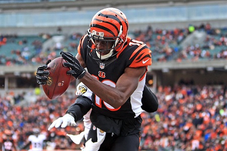 Cincinnati Bengals at Houston Texans - 25/12/2016