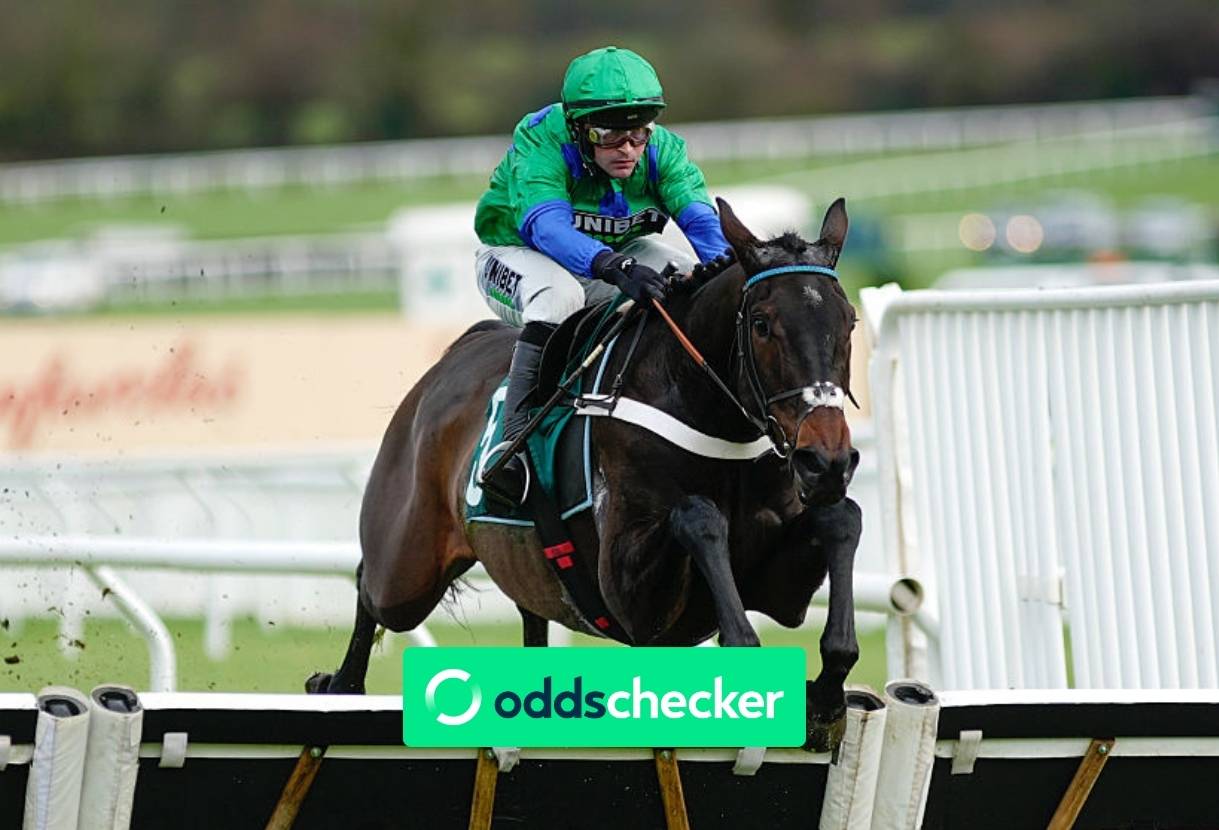 Supreme Novices' Hurdle 2026: Runners, Odds, Trends & Tips