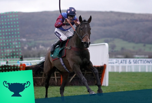 Impressive trials weekend for Paisley Park sees Emma Lavelle's star shorten for the Stayers' Hurdle