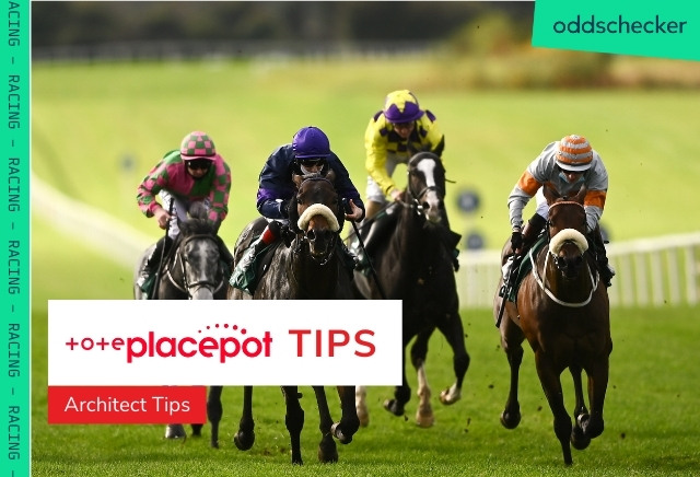 Sunday Ripon Placepot Tips from Architect