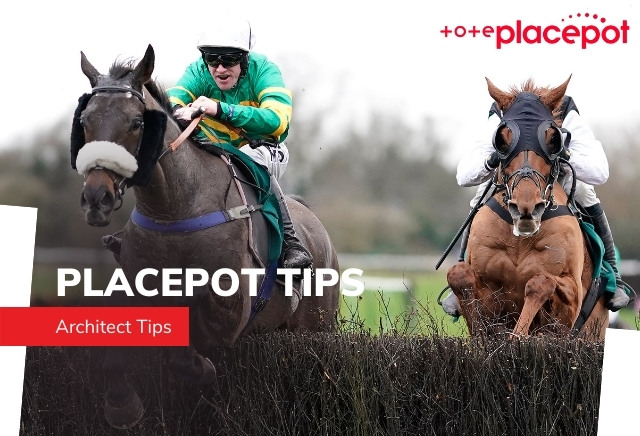 Today's Tote Placepot Tips for Leicester 