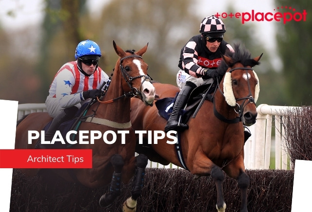 Today's Tote Placepot Tips for Newcastle