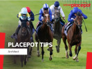 Today's Tote Placepot Tips for Hamilton