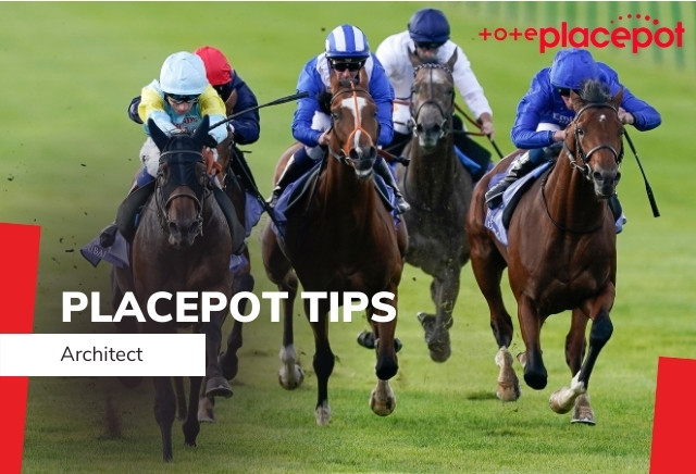 Today's Tote Placepot Tips for Hamilton