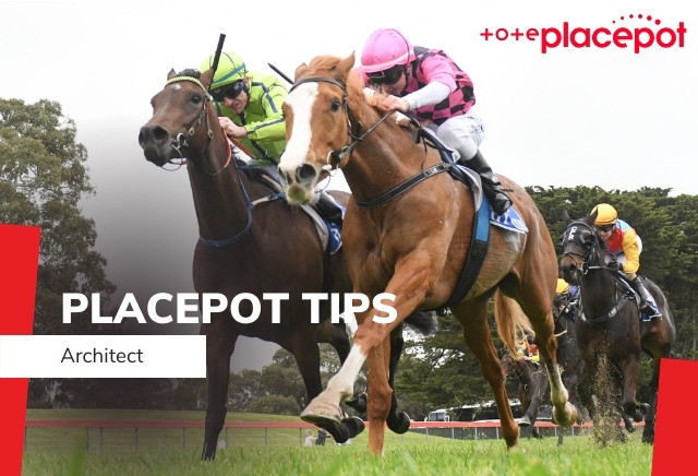 Today's Tote Placepot Tips for Cheltenham