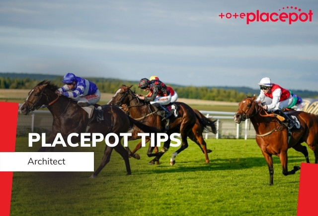 Today's Tote Placepot Tips for Bangor