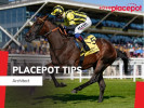 Today's Tote Placepot Tips for Stratford