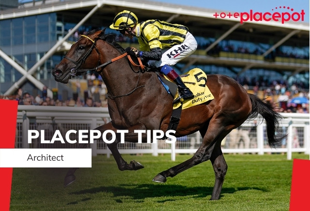Today's Tote Placepot Tips for Chepstow