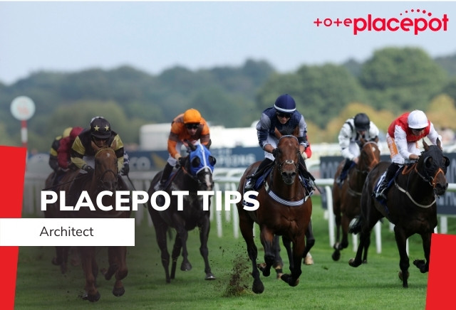 Today's Tote Placepot Tips for Wolverhampton