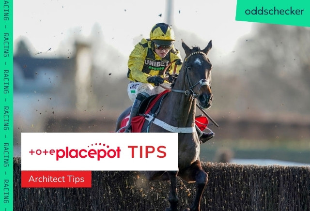 Today's Tote Placepot Tips for Ayr