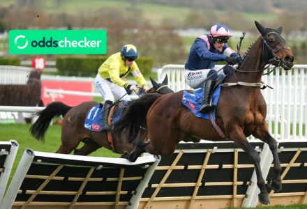 Punchestown Tips: The Road to Cheltenham’s Best Bets for Day 1