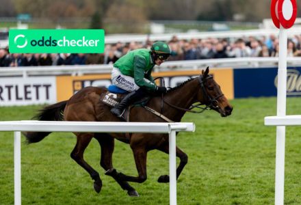 Road to Cheltenham’s Punchestown Day 2 Tips featuring Albert Bartlett winner