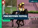 Punchestown Festival 2024: Tips, Races, Schedule & Entries