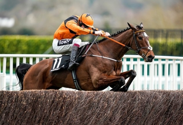 Put The Kettle On cut for Champion Chase following Shloer Chase victory