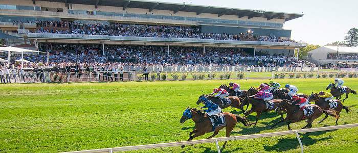 Andy Holding's Saturday Racing Tips