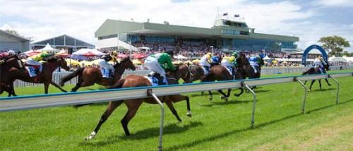 Gold Coast Tips, Information &amp; Advice from Oddschecker | Tips &amp; News ...