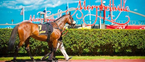 Morphettville Tips, Information &amp; Advice from Oddschecker | Tips ...