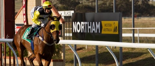 Northam Tips, Information &amp; Advice from Oddschecker | Tips &amp; News ...