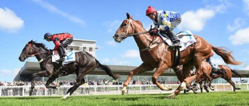 Pakenham Tips, Information &amp; Advice from Oddschecker | Tips &amp; News ...