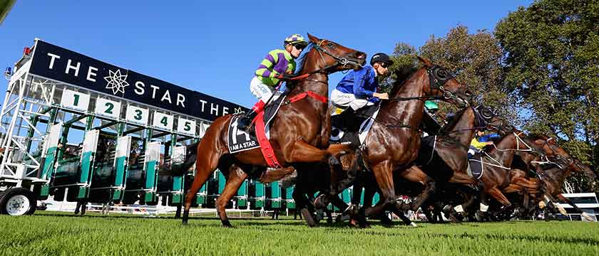 Andy Holding's Friday Racing Tips