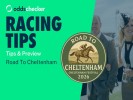Road To Cheltenham's Galway Plate Preview: Runners, Odds & Betting Tips