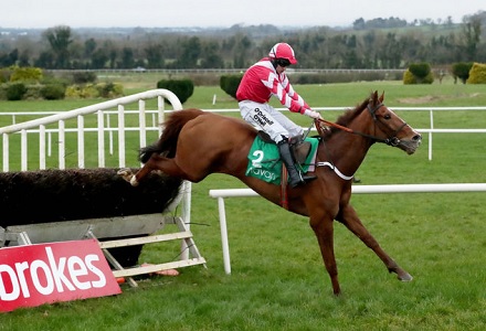 Acapella Bourgeois cut for Gold Cup success